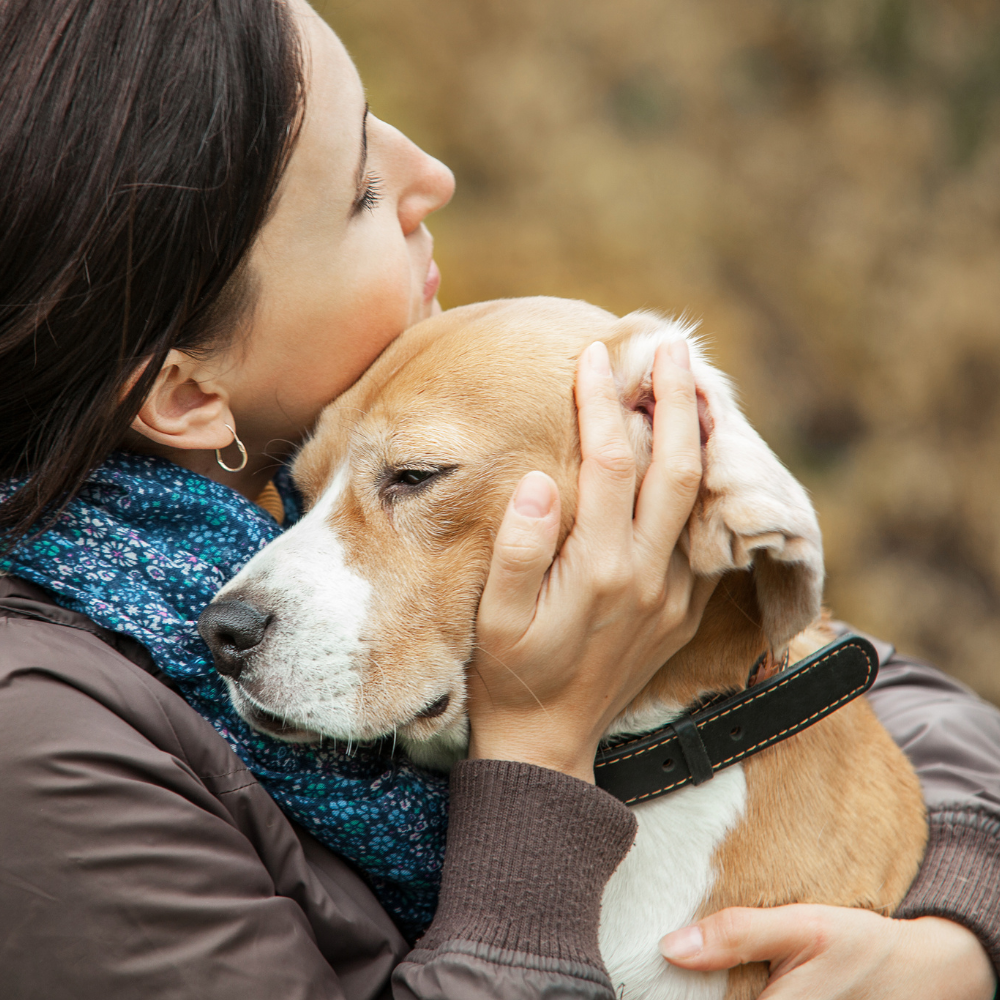 The Secret to Soothing Your Pet’s Skin Naturally: Why Every Pet Parent Needs a Healing Salve