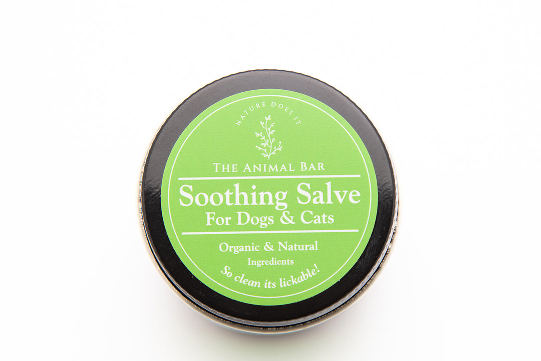 Soothing Salve for Dogs & Cats