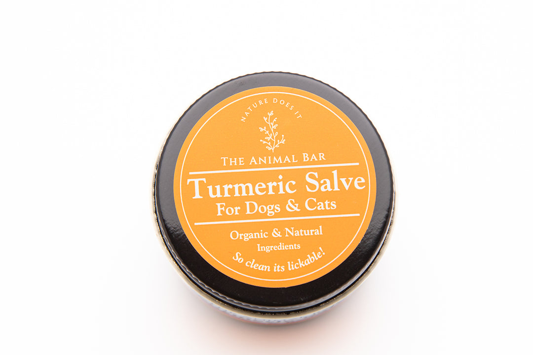 Turmeric Salve for Dogs & Cats