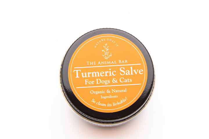 Turmeric Salve for Dogs & Cats