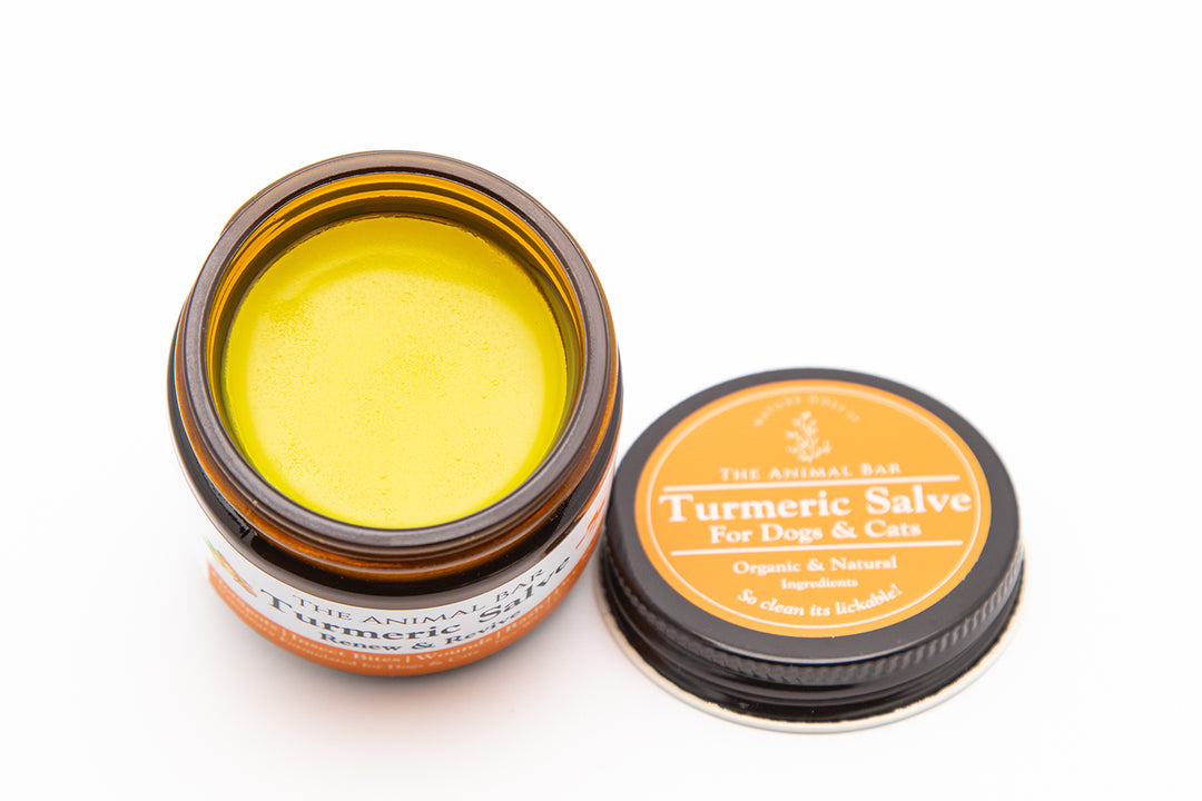 Turmeric Salve for Dogs & Cats