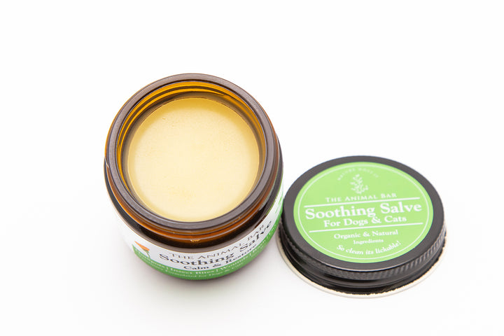 Soothing Salve for Dogs & Cats