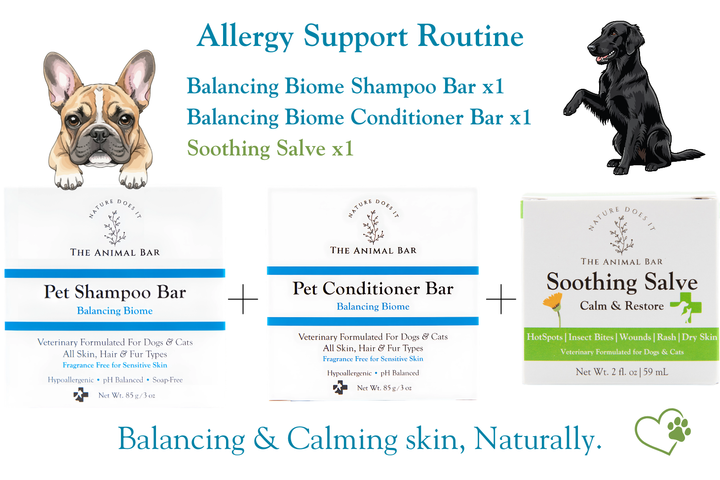 Allergy Support Routine