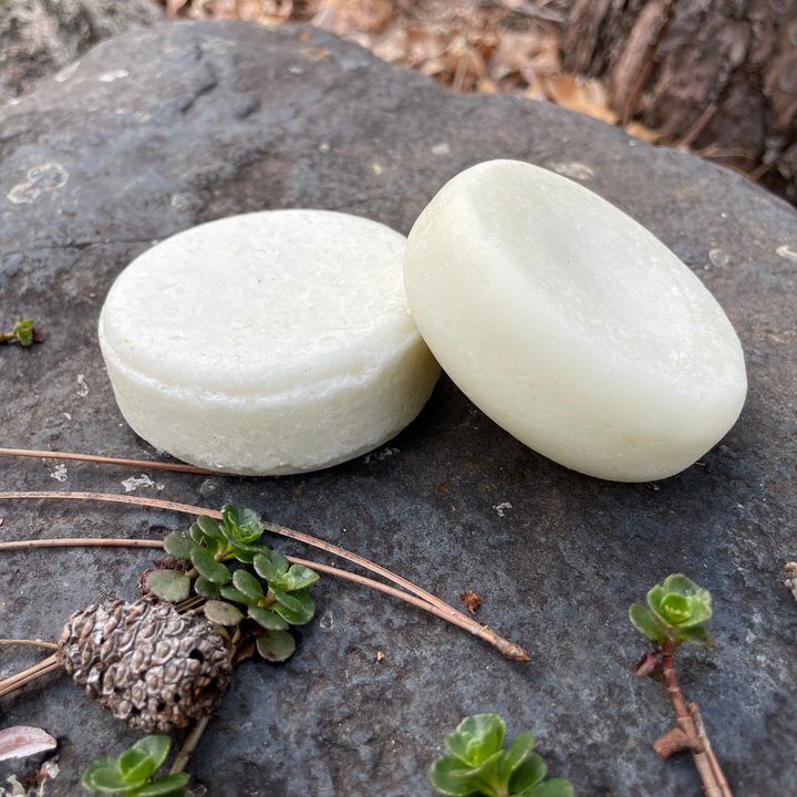 Balancing Biome Pet Shampoo & Conditioner Bar Set