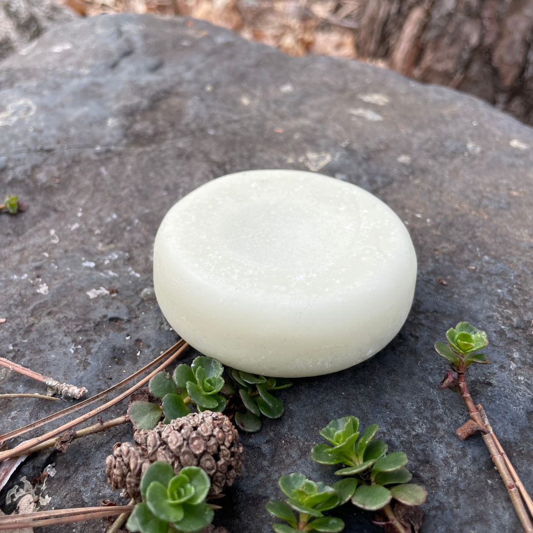 Balancing Biome Pet Conditioner Bar