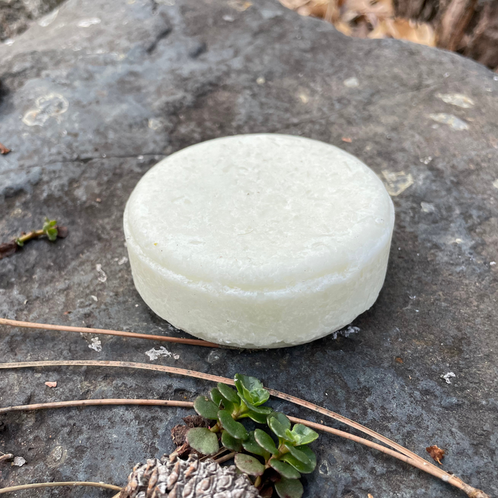 Pet Shampoo Bar - Balancing Biome